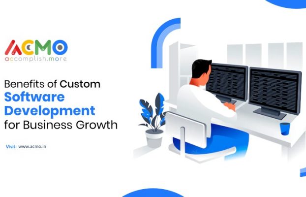 Benefits of Custom Software Development for Business Growth